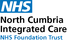 ncic_logo